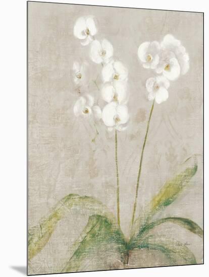 Orchid Light-Cheri Blum-Mounted Art Print