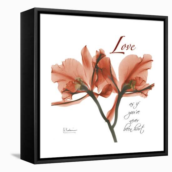 Orchid Love-Albert Koetsier-Framed Stretched Canvas