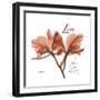 Orchid Love-Albert Koetsier-Framed Premium Giclee Print