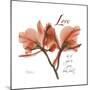 Orchid Love-Albert Koetsier-Mounted Premium Giclee Print