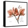 Orchid Love-Albert Koetsier-Framed Stretched Canvas