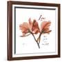 Orchid Love-Albert Koetsier-Framed Premium Giclee Print