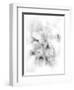 Orchid Magena-Maria Trad-Framed Premium Giclee Print