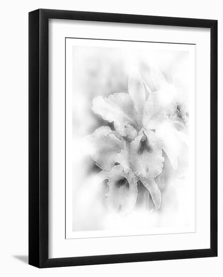 Orchid Magena-Maria Trad-Framed Giclee Print