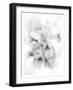 Orchid Magena-Maria Trad-Framed Giclee Print