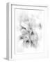 Orchid Magena-Maria Trad-Framed Giclee Print