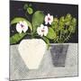 Orchid Mosaic II-Susan Brown-Mounted Giclee Print