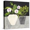 Orchid Mosaic II-Susan Brown-Stretched Canvas