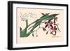 Orchid: Odontoglossum Tripudans-null-Framed Premium Giclee Print