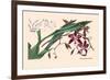 Orchid: Odontoglossum Tripudans-null-Framed Art Print