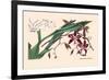 Orchid: Odontoglossum Tripudans-null-Framed Art Print