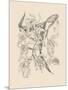 Orchid on Khaki II-Samuel Curtis-Mounted Art Print