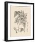 Orchid on Khaki IV-Samuel Curtis-Framed Art Print