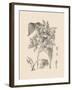 Orchid on Khaki IV-Samuel Curtis-Framed Art Print