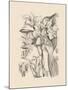 Orchid on Khaki V-Samuel Curtis-Mounted Art Print