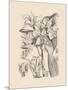 Orchid on Khaki V-Samuel Curtis-Mounted Art Print