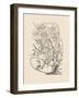 Orchid on Khaki VI-Samuel Curtis-Framed Art Print