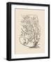 Orchid on Khaki VI-Samuel Curtis-Framed Art Print