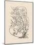 Orchid on Khaki VI-Samuel Curtis-Mounted Art Print