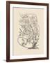 Orchid on Khaki VI-Samuel Curtis-Framed Art Print