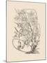 Orchid on Khaki VI-Samuel Curtis-Mounted Art Print