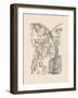 Orchid on Khaki VIII-Samuel Curtis-Framed Art Print