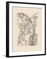 Orchid on Khaki VIII-Samuel Curtis-Framed Art Print