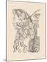 Orchid on Khaki VIII-Samuel Curtis-Mounted Art Print