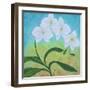 Orchid Opus-Herb Dickinson-Framed Photographic Print