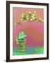 Orchid Opus-Herb Dickinson-Framed Photographic Print