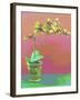 Orchid Opus-Herb Dickinson-Framed Photographic Print