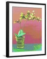 Orchid Opus-Herb Dickinson-Framed Photographic Print