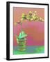 Orchid Opus-Herb Dickinson-Framed Photographic Print