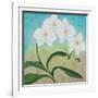 Orchid Opus-Herb Dickinson-Framed Photographic Print