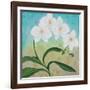 Orchid Opus-Herb Dickinson-Framed Photographic Print