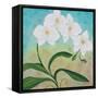 Orchid Opus-Herb Dickinson-Framed Stretched Canvas