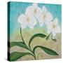 Orchid Opus-Herb Dickinson-Stretched Canvas