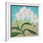 Orchid Opus-Herb Dickinson-Framed Photographic Print