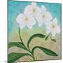 Orchid Opus-Herb Dickinson-Mounted Photographic Print