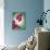 Orchid, Orchidacea, Flower, Blossoms, Plant, Still Life, Green, Pink-Axel Killian-Photographic Print displayed on a wall