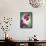 Orchid, Orchidacea, Flower, Blossoms, Plant, Still Life, Green, Pink-Axel Killian-Framed Stretched Canvas displayed on a wall