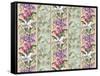 Orchid Panel Toile Blush-Bill Jackson-Framed Stretched Canvas