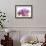 Orchid (Phalaenopsis)-Maria Mosolova-Framed Premium Photographic Print displayed on a wall