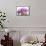 Orchid (Phalaenopsis)-Maria Mosolova-Framed Stretched Canvas displayed on a wall