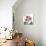 Orchid Pink-Albert Koetsier-Art Print displayed on a wall