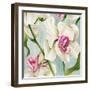 Orchid Pink-Alex Black-Framed Art Print