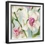 Orchid Pink-Alex Black-Framed Art Print