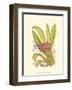 Orchid Plenty II-Samuel Curtis-Framed Art Print