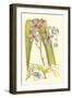 Orchid Plenty V-Samuel Curtis-Framed Art Print