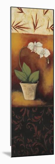 Orchid Poem-Rita Vindedzis-Mounted Giclee Print